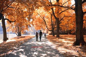 克然奴姆率领美国男篮取得胜利，力保冠军宝座